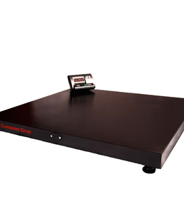 Платформенные весы