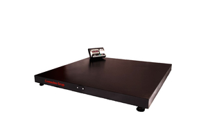 Платформенные весы